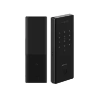 Lusano-AI-Palm-Gate-1A