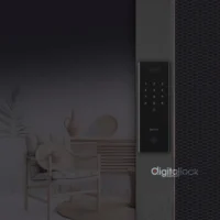 Lusano-AI-Palm-Gate-5A