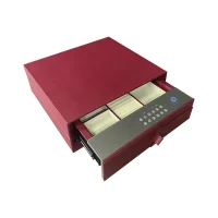Lusano_SecureSlide_1